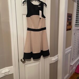 Elegant Black and Tan Dress